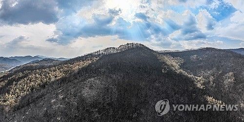 경북 산불 '진화 완료'…폐허 된 산림 비추는 햇살