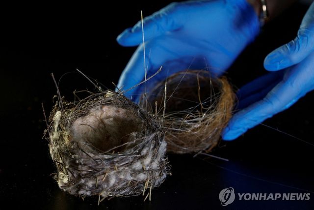 드론 광케이블로 만들어진 새 둥지