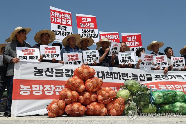 양파와 함께하는 기자회견