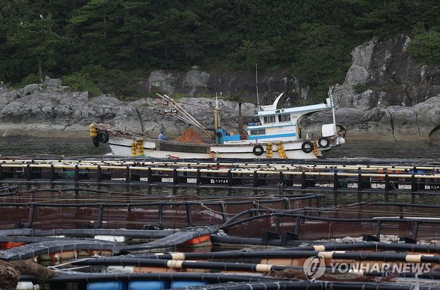 적조 비상…황토 방제