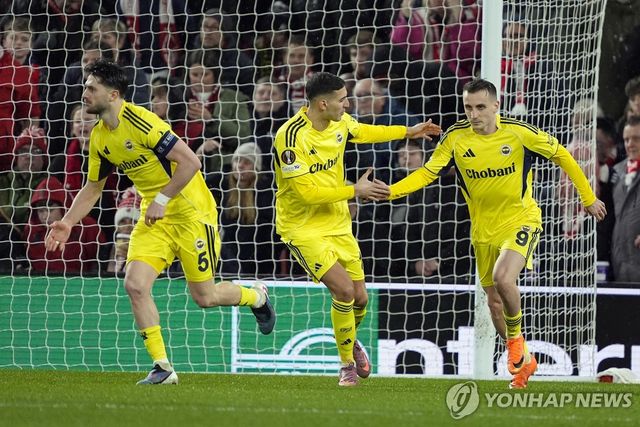 튀르키예 프로축구팀 페네르바체. 기사와 관련 없는 자료사진입니다. 