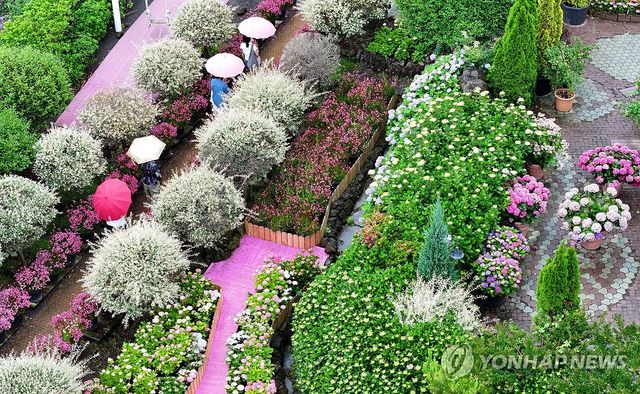 우산 쓰고 산책