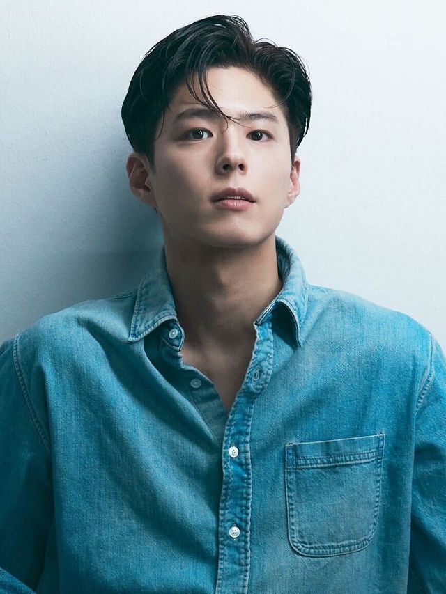 박보검, 애니 '다윗' 더빙 참여