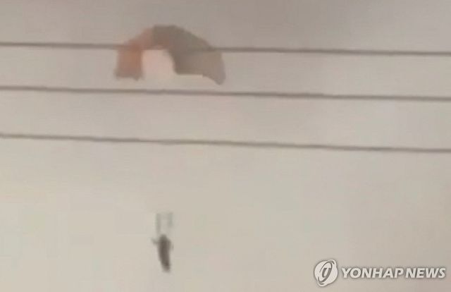 쿠웨이트에서 오인사격으로 격추된 미군 F-15 전투기의 조종사의 탈출 장면