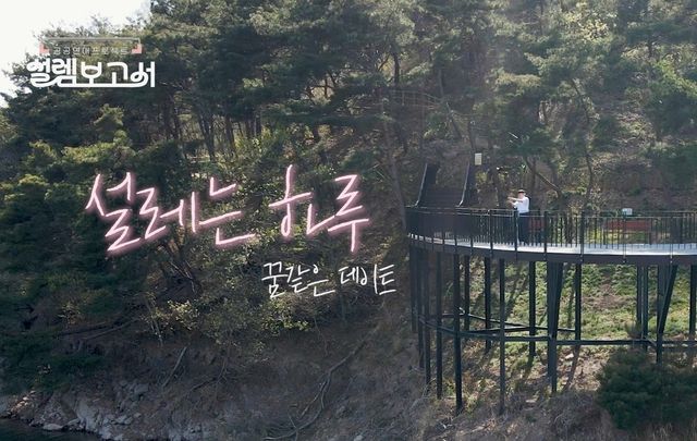 셀렘보고서 영상 상의 맹동치유의숲