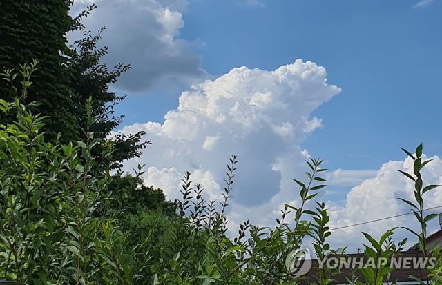 맑은 여름 하늘