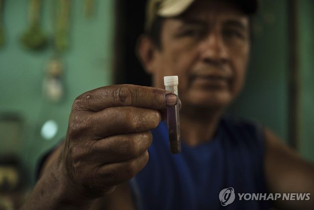 멕시코에서 발견된 신세계 나사벌레