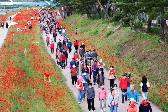 올해 축제 장소 중 한 곳인 동진천변 일대