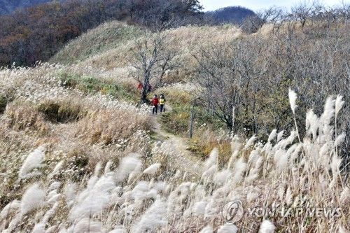 장수 장안산