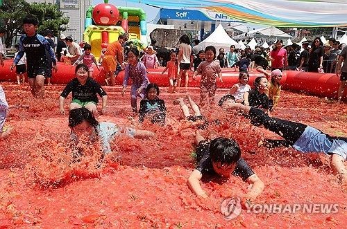토마토 세상…퇴촌 토마토 축제