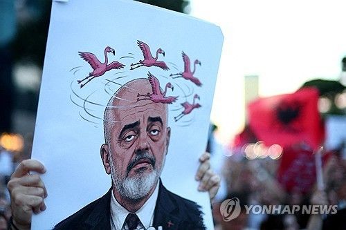 에디 리마 알바니아 총리 얼굴 위로 플라밍고가 빙빙 도는 피켓