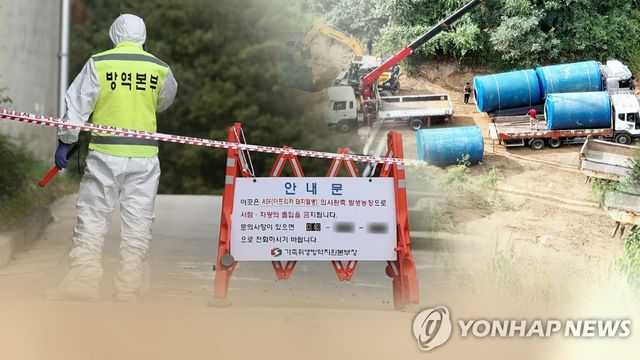 아프리카돼지열병 '비상' (CG)