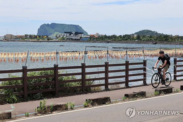 오징어 말리는 풍경