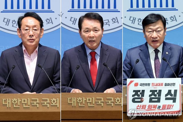 국민의힘 새 원내대표 10일 선출…김도읍·성일종·정점식 3파전