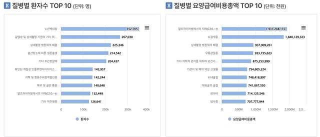 2025년 다빈도 질병 환자 수·의료비 순위
