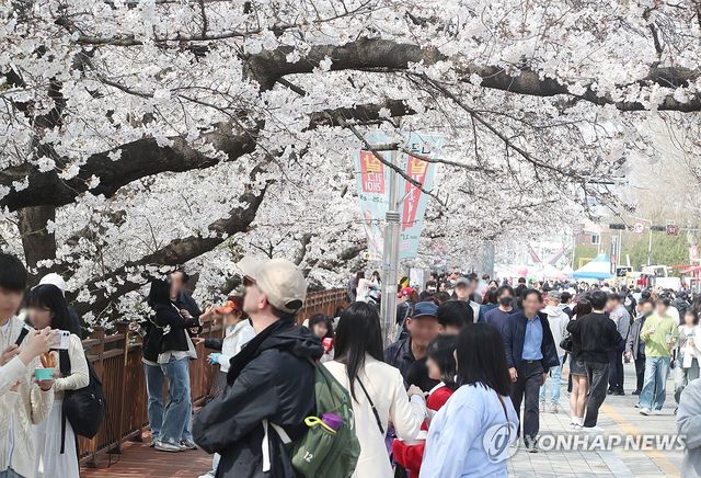 청주시 벚꽃축제 '성료'