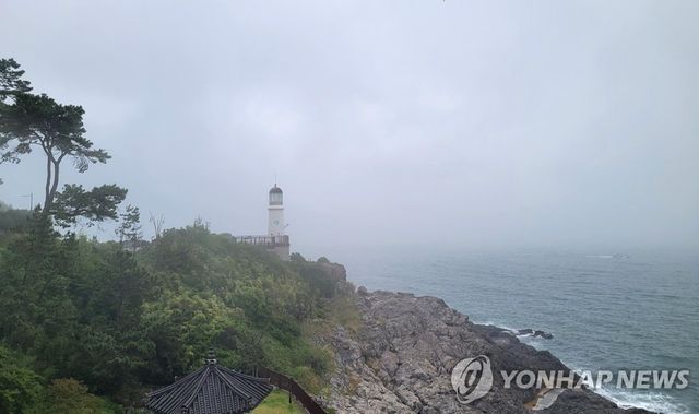 부산 동백섬 흐린 날씨