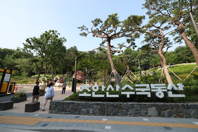 초안산 수국동산