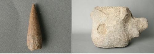 '고래뼈에 박힌 사슴뿔 작살촉' 일부