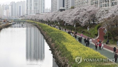 부산 온천천 