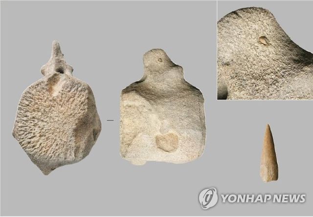 울산시 문화재로 지정된 '골촉 박힌 고래뼈'