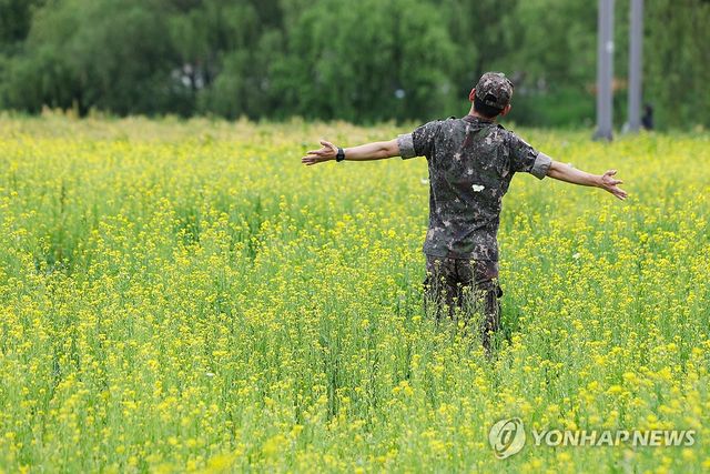 서울 서초구 서래섬 유채꽃밭에서 포즈 취하는 군인