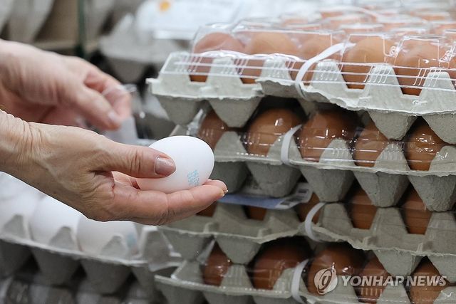 계란값 상승 배후 조사 나선 공정위