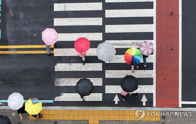 비 내리는 오후