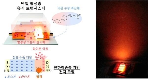 연구 모식도
