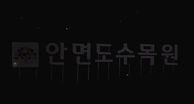 안면도수목원 반딧불이
