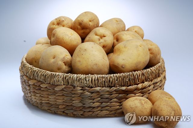 서산 팔봉산감자
