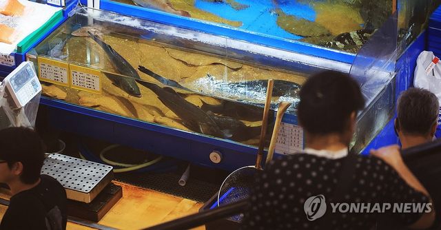 뜨거워진 바다…광어·우럭 가격 뛰어