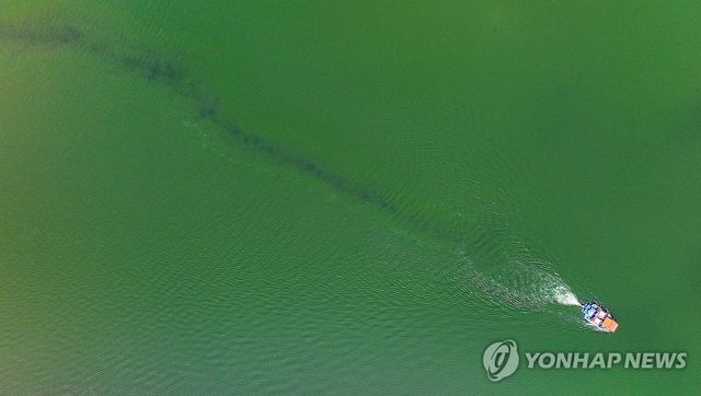 녹조제거선 고군분투