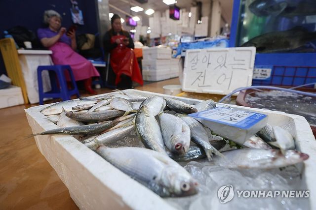 (서울=연합뉴스) 서대연 기자 = 11일 서울 동작구 노량진수산시장에에 전어가 진열돼 있다. 2025.9.11 dwise@yna.co.kr