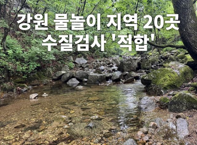 양구 광치계곡