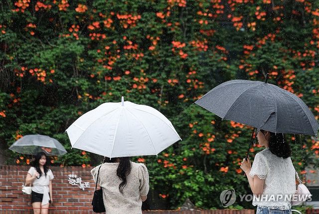 대구 중구 대봉동 한 건물 외벽의 '능소화 폭포'에서 우산 쓴 시민들이 활짝 핀 능소화를 배경으로 사진을 찍고 있다. [연합뉴스 자료사진]