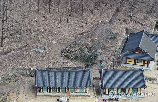 산불 방어선 구축 흔적 남은 대전사