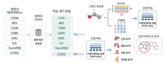 연구 모식도