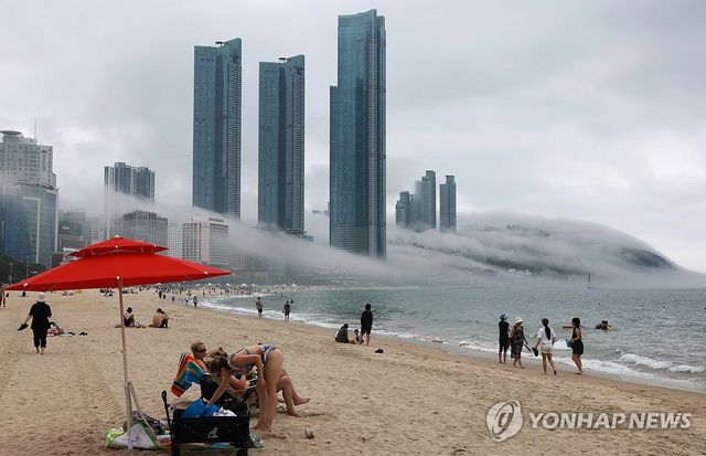 소서에 펼쳐진 해무 풍경