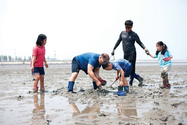 궁평리서 갯벌 체험