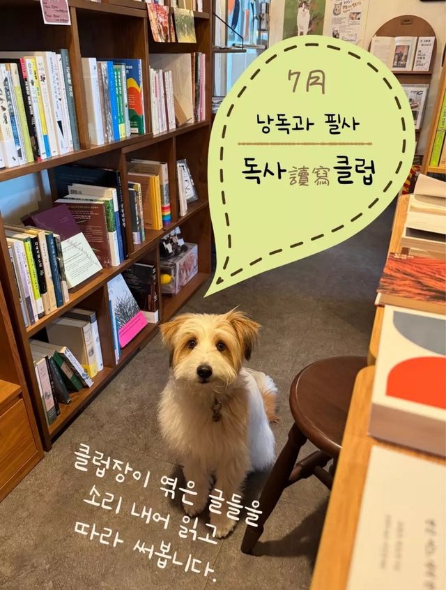카페 내 유기견과 함께하는 모임 안내문