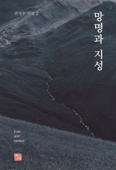 망명과 지성