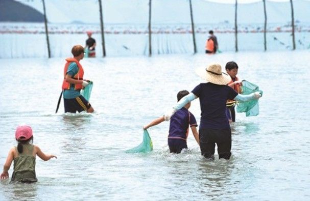 경남 거제 다대서 개막이체험
