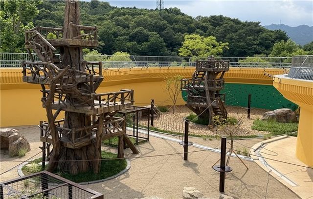 새 단장한 서울대공원 일본원숭이사