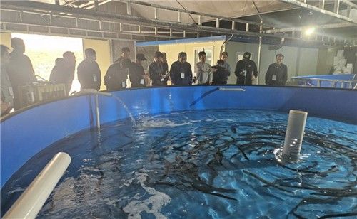 귀어학교서 갯벌장어 양식장 견학