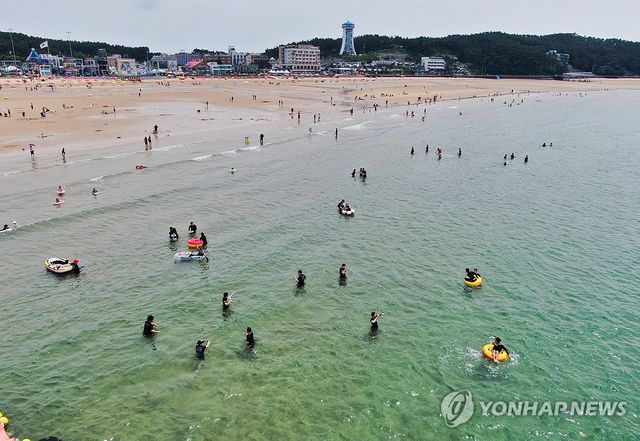 피서객으로 붐비는 만리포해수욕장