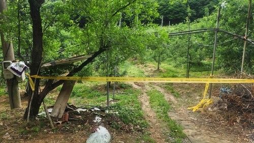 과수화상병 발생 과원