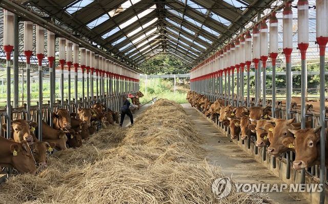 한우 축사
