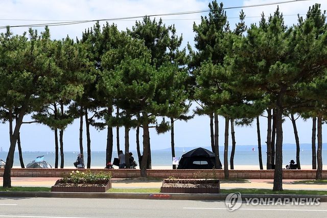시원한 그늘
