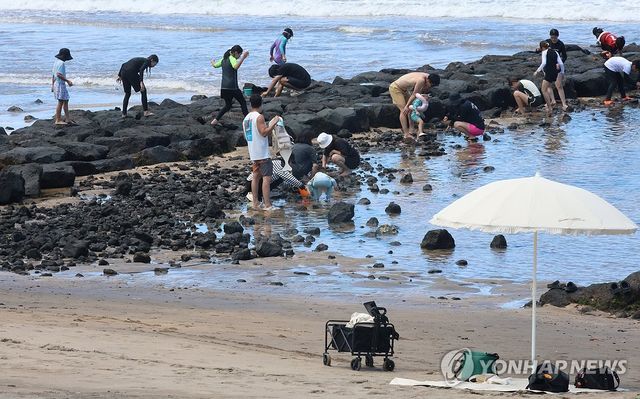 무더위 피해 제주 해수욕장 찾은 피서객